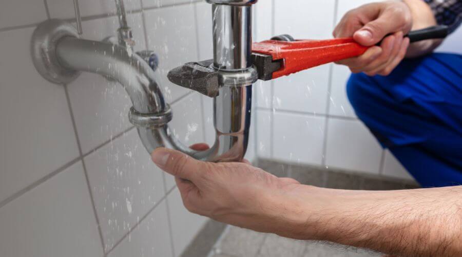 Leak Detection Services in Rosebush, MI